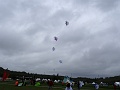 DSC00091