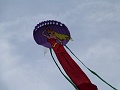 P1140122