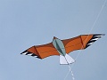 P1190619