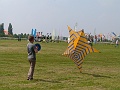 P1190655
