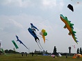 P1190665