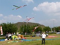 P1190681