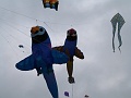 P1190748