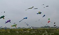 P1190754