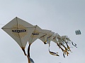 P1190763