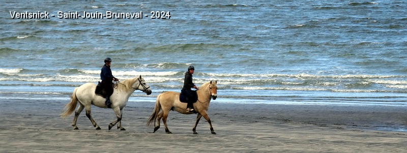 DSC04741.JPG - ... sortie à cheval à marée basse.