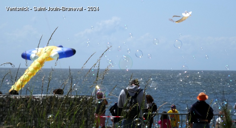 DSC04770.JPG - ... ou d'innombrables plus petites !