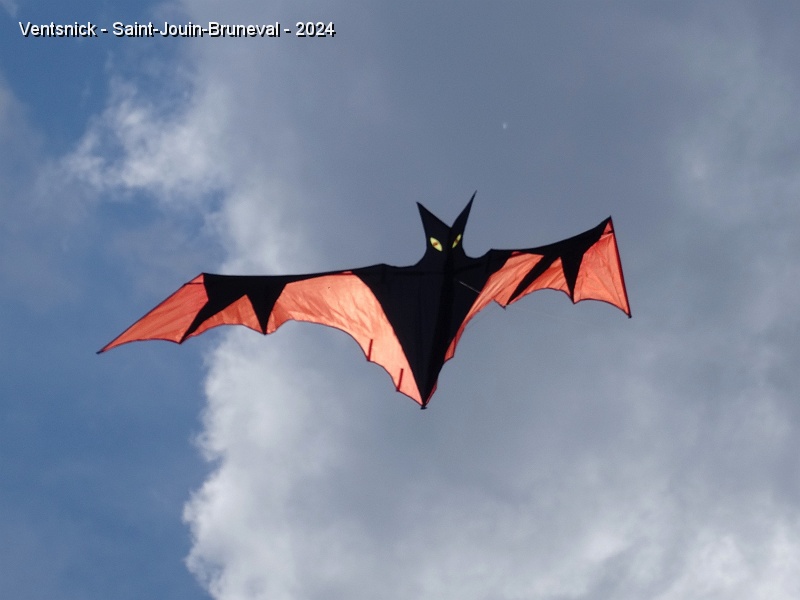 DSC04711.JPG - ... ici sa chauve-souris et ...