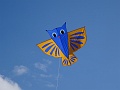 DSC04678