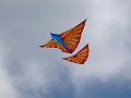 DSC04707