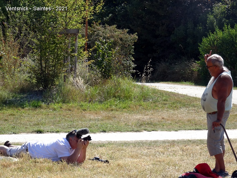 DSC06746.JPG - Un photographe nous rend visite, Ti Mimi est à l'honneur !