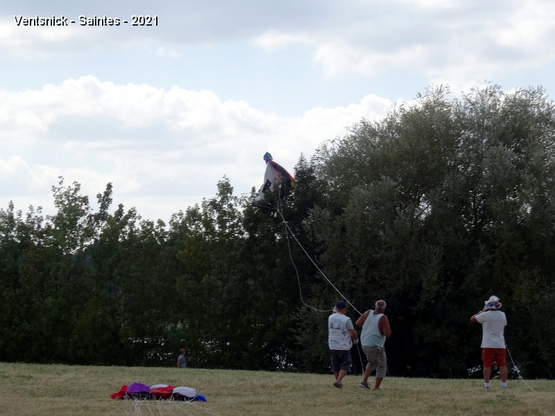 DSC06754.JPG - ... de cerfs-volants ...
