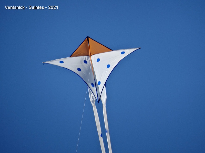 DSC06694.JPG - ... Il faut maintenant faire appel à des cerfs-volants qui supportent le vent soutenu ! Ici, celui de Brice fait parfaitement l'affaire !