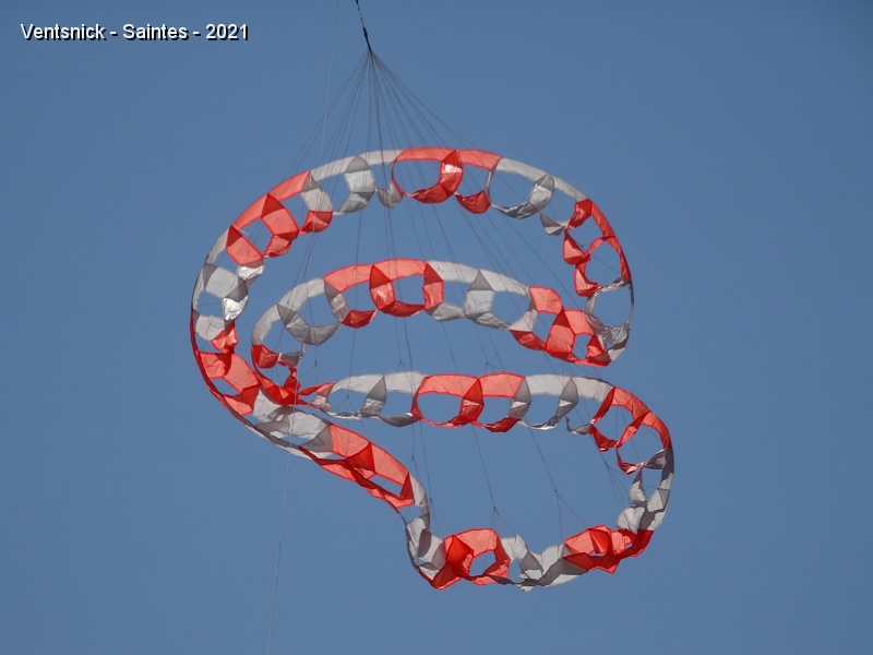 DSC06725.JPG - Un serpent se tortille sur une ligne.