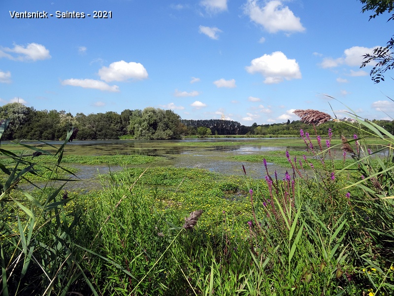 DSC06749.JPG - Un bras mort de la Charente jouxte le terrain de vol, ...