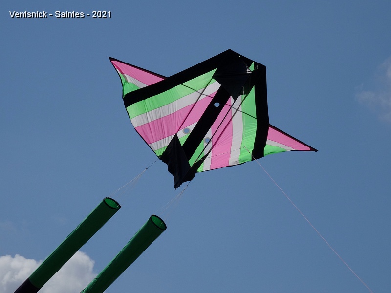 DSC06752.JPG - ... qui s'élance vers le ciel.