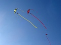 DSC06683