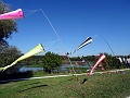 DSC06686