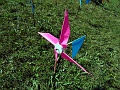 DSC06699