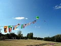 DSC06744