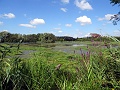 DSC06749