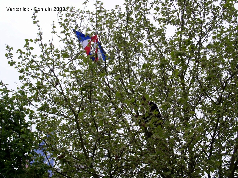 P5030146.JPG - Un cerf-volant de Sky Flyers a terminé son vol dans un arbre depuis la veille.