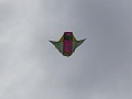 RIMG0511