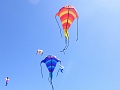 RIMG0526