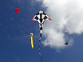 RIMG0544