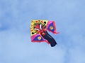 RIMG0558