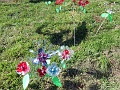 RIMG0570