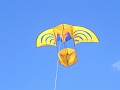 RIMG0646