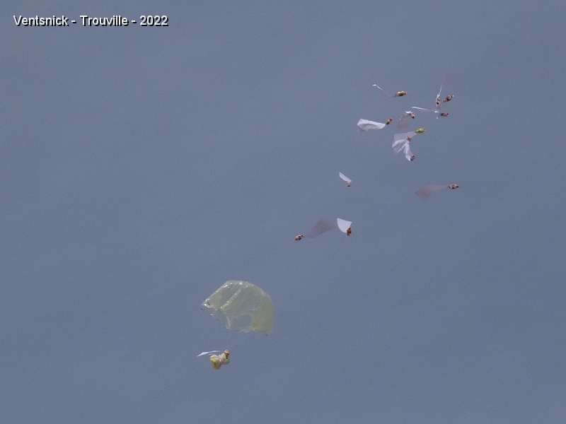 DSC08542.JPG - ... les bonbons tournoient, une petite peluche effectue un saut en parachute, ...