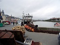DSC08592