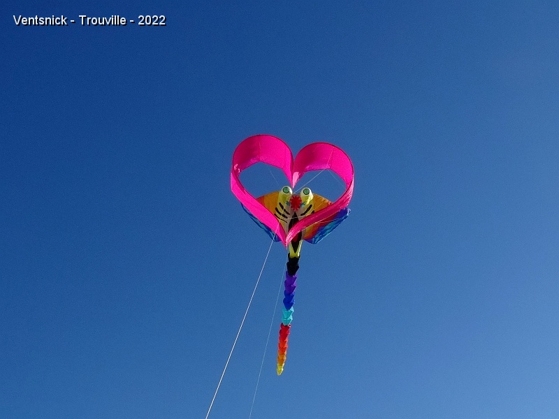 DSC08399.JPG - La raie de Joël Lassey vous regarde droit dans le coeur !