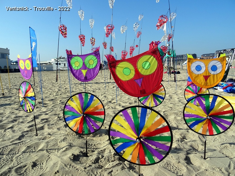 DSC08424.JPG - ... comme ces hiboux dont le ventre tourne, ...