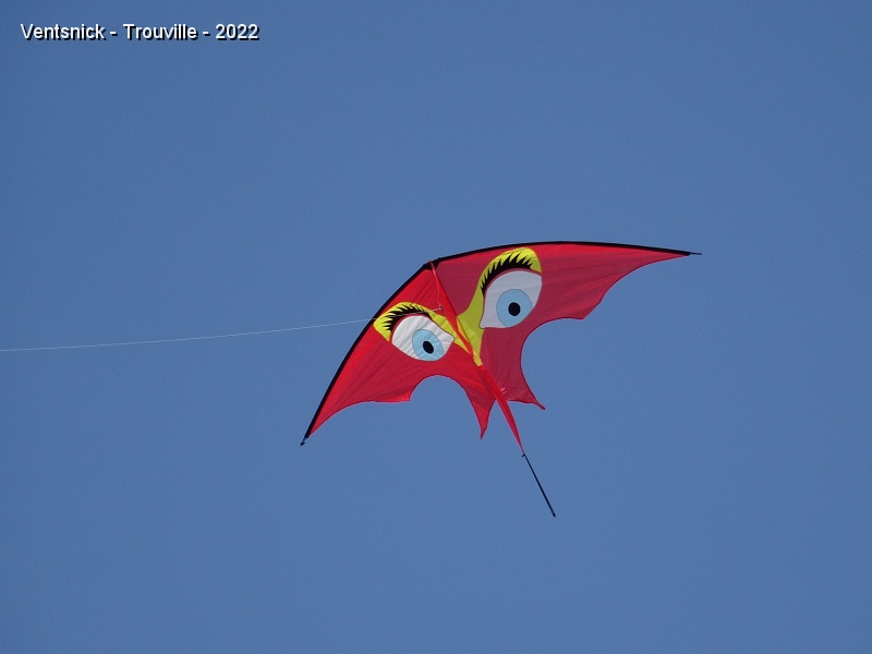 DSC08504.JPG - Le cerf-volant de Joël Goupil  jette son regard perçant sur la manifestation.