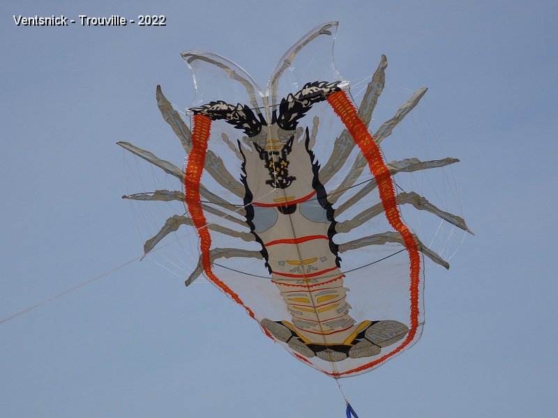 DSC08531.JPG - .... même chose pour notre langouste !
