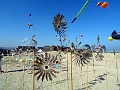 DSC08431