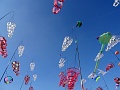 DSC08434