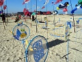 DSC08435