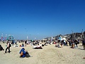 DSC08451