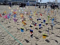 DSC08508