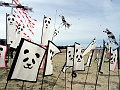 DSC08520