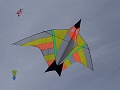 DSC08557