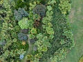 DSCN1117