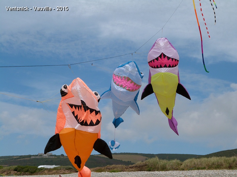 P1150371.JPG - Requins de Jean-Louis.