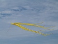 P1150294