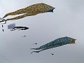 P1150342