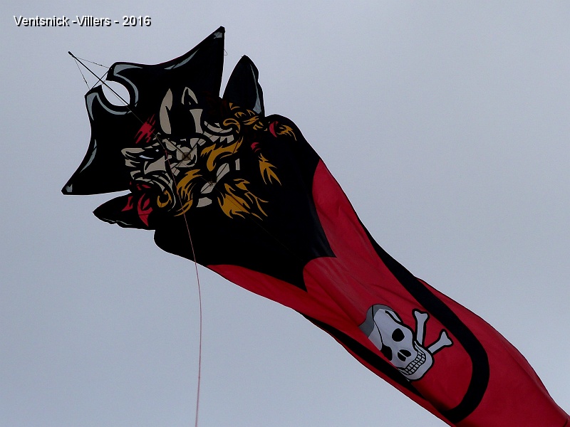 P1190109.JPG - ... notre tête de pirate fait une brêve apparition, le vent est un peu trop fort pour lui !